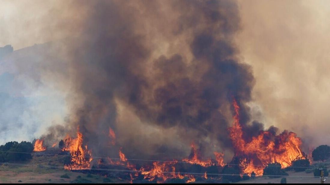 Firefighters triumph over two fast-moving wildfires threatening local homes